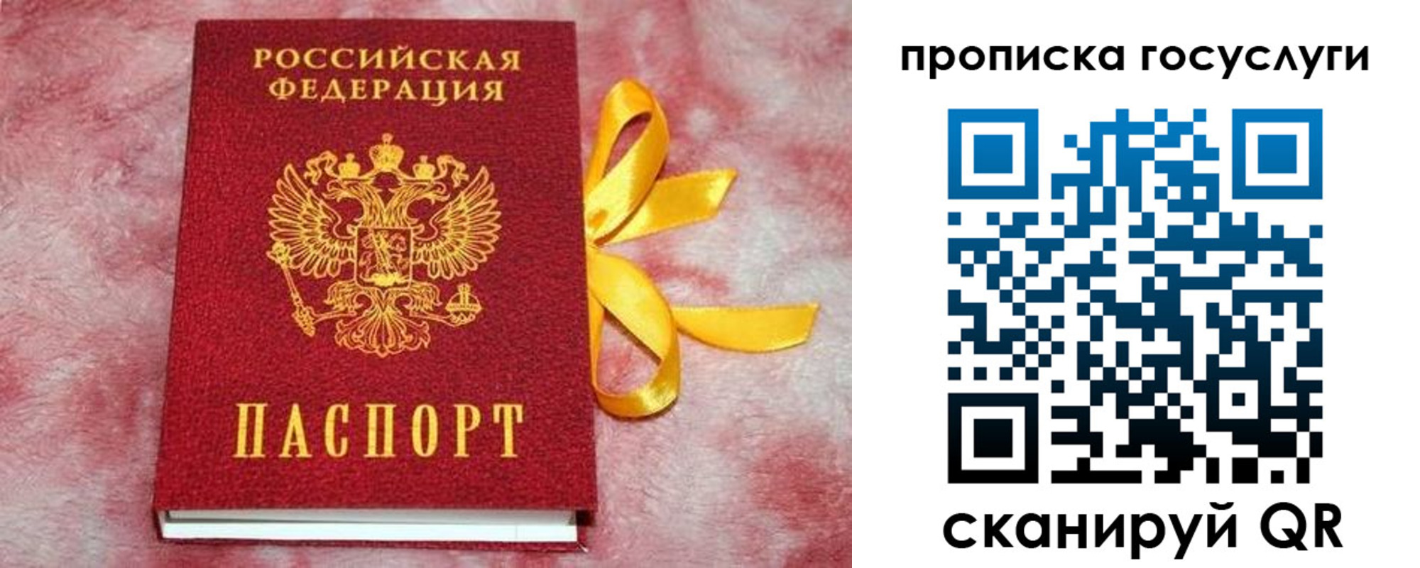 прописка законно в Туапсе